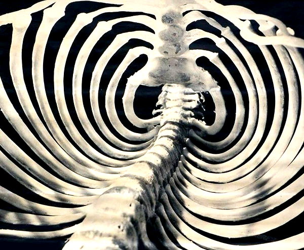 svcriligiosa instagram image archive image
