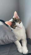 yuna_1_27 Altpins Profile Picture