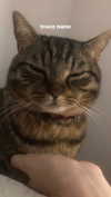 rott3nbambi Altpins Profile Picture