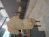 s111y_ccc0nt3 Altpins Profile Picture