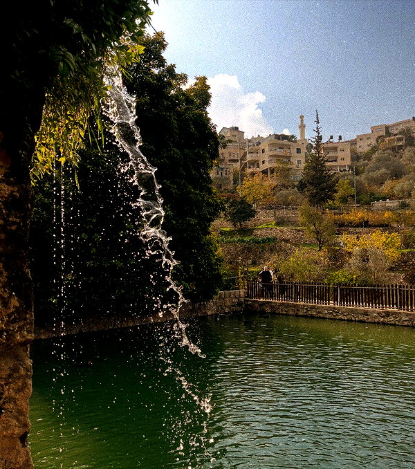 _femalien instagram image archive image