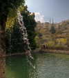 _femalien Altpins Profile Picture