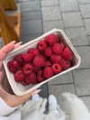 mishel_d_ Altpins Profile Picture