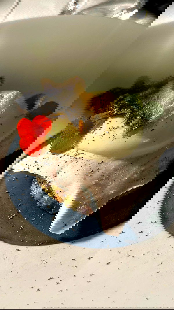 taylor.creeden taylor.creeden archive image