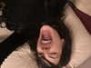 leonanaomii Altpins Profile Picture