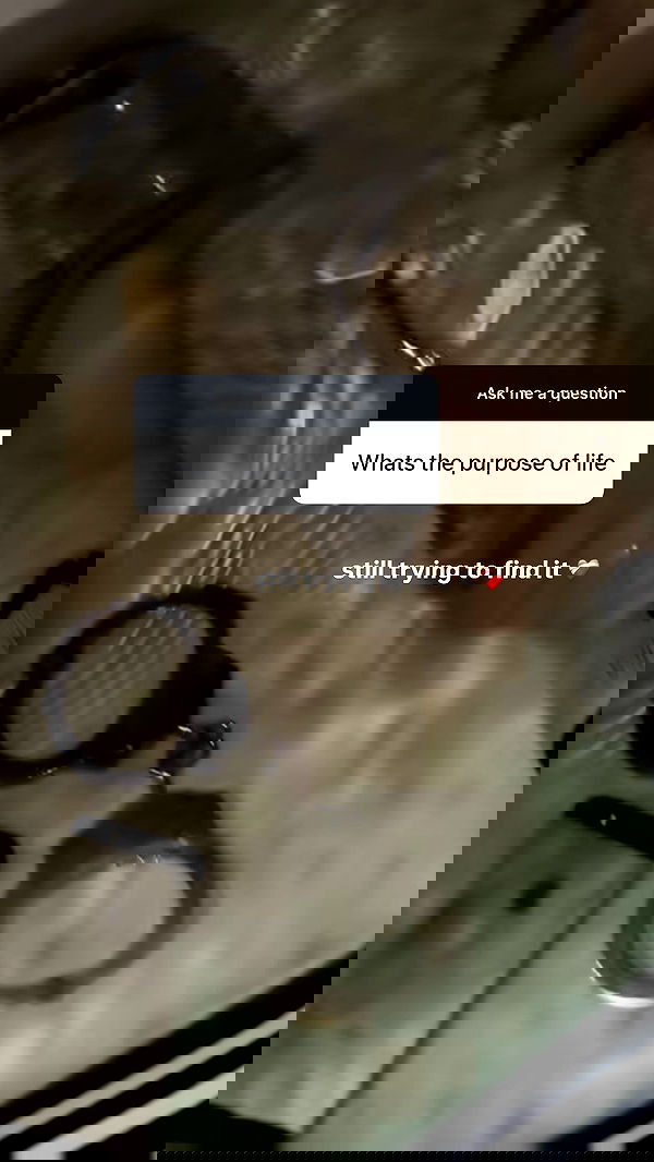 zommmbri zommmbri archive image