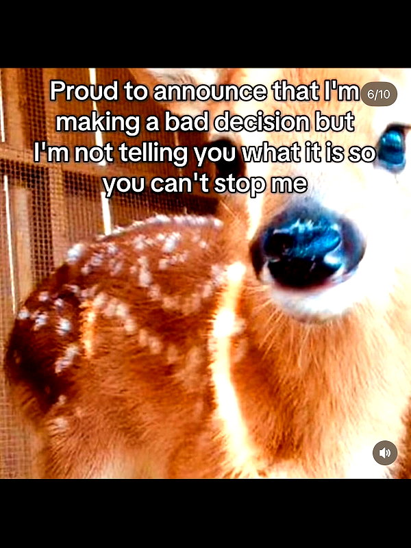 leanbeefpatty instagram image archive image