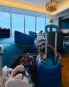 katehudson Altpins Profile Picture