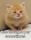 ellaexplicit_ Altpins Profile Picture
