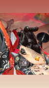 darkstar_mia Altpins Profile Picture