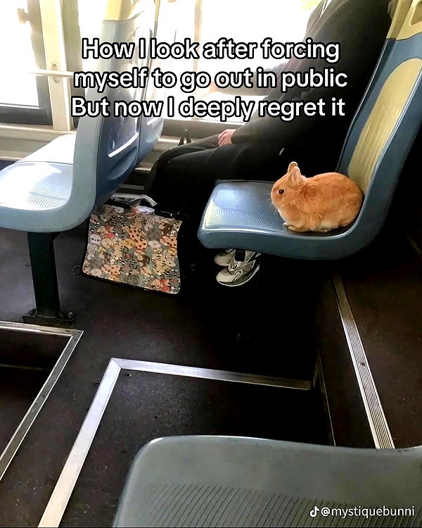 catl0verr69 instagram image archive image