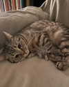 milena_milachich Altpins Profile Picture