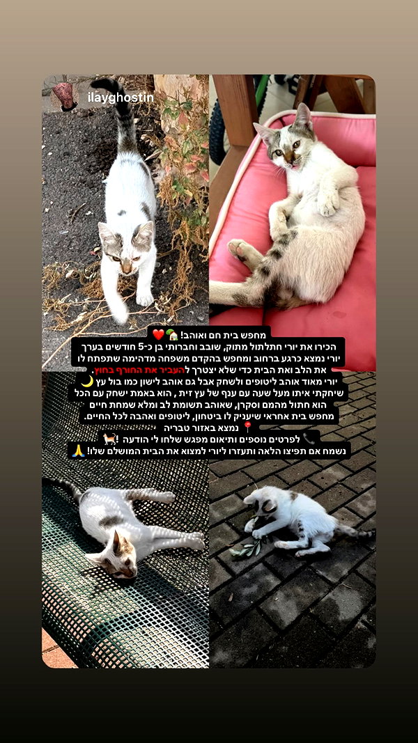 Archived image from @aviyabramii on Instagram