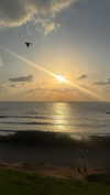 ziv_kabalo Altpins Profile Picture