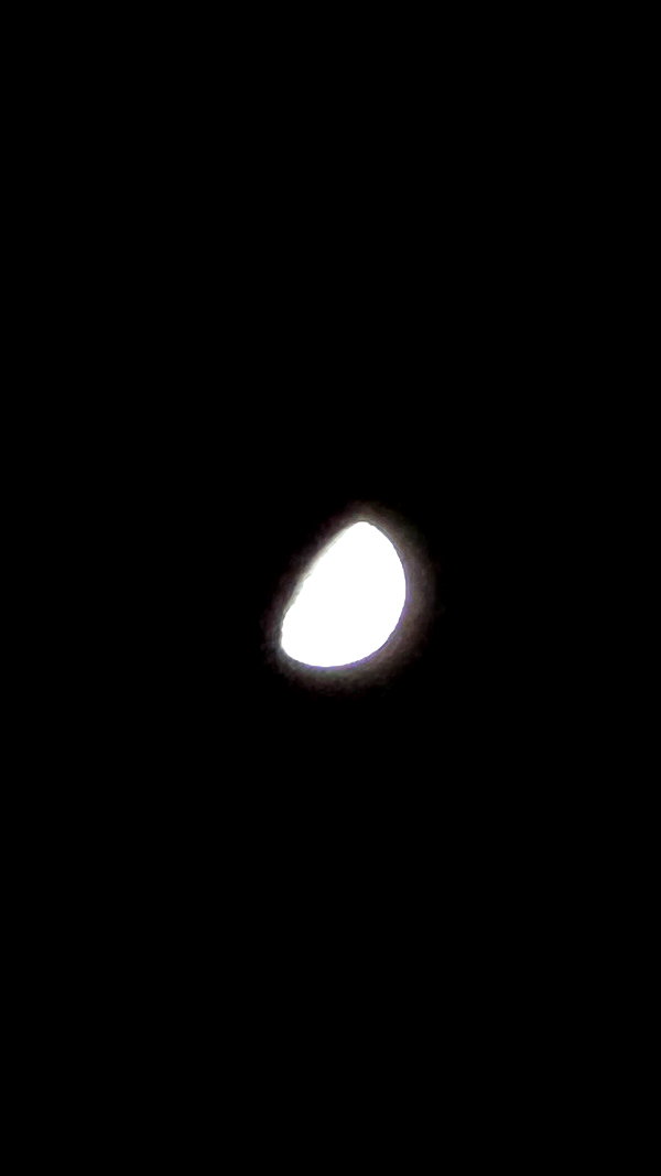 moonliliaght moonliliaght archive image
