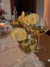tatumchurch Altpins Profile Picture
