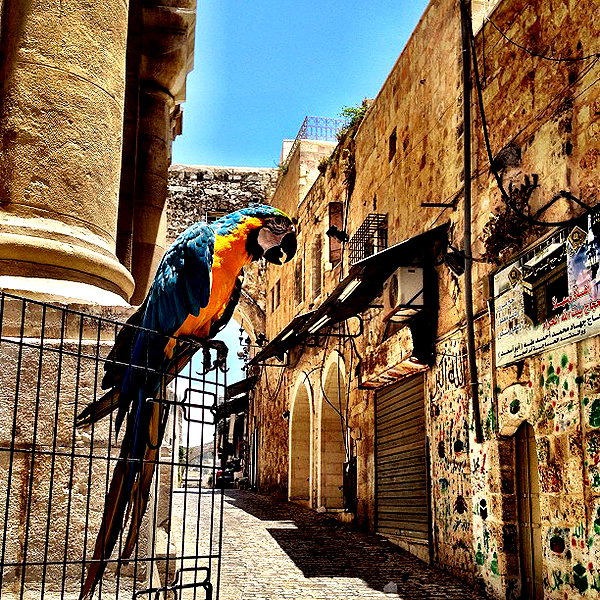 adihimelbloy instagram image archive image