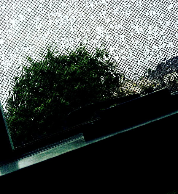 hallucineon instagram image archive image