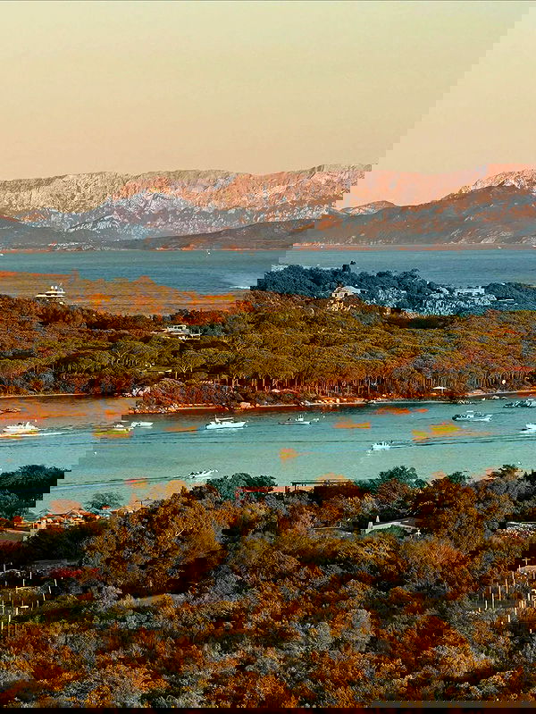 taylor.creeden taylor.creeden archive image