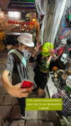 dwpolin Altpins Profile Picture