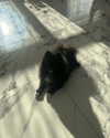 katrina.zaiceva Altpins Profile Picture