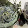 pavuk1_0 Altpins Profile Picture