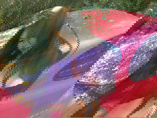 veiyul veiyul archive image