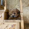 dear.zia Altpins Profile Picture