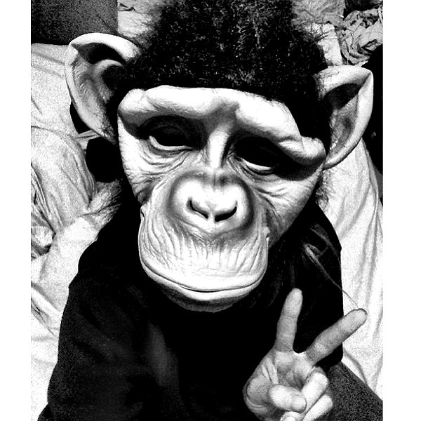 adihimelbloy instagram image archive image