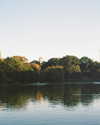 lilireinhart Altpins Profile Picture