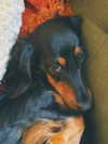 libby_reut Altpins Profile Picture
