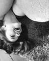 realbarbarapalvin Altpins Profile Picture