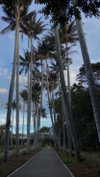 solzarubin_ Altpins Profile Picture