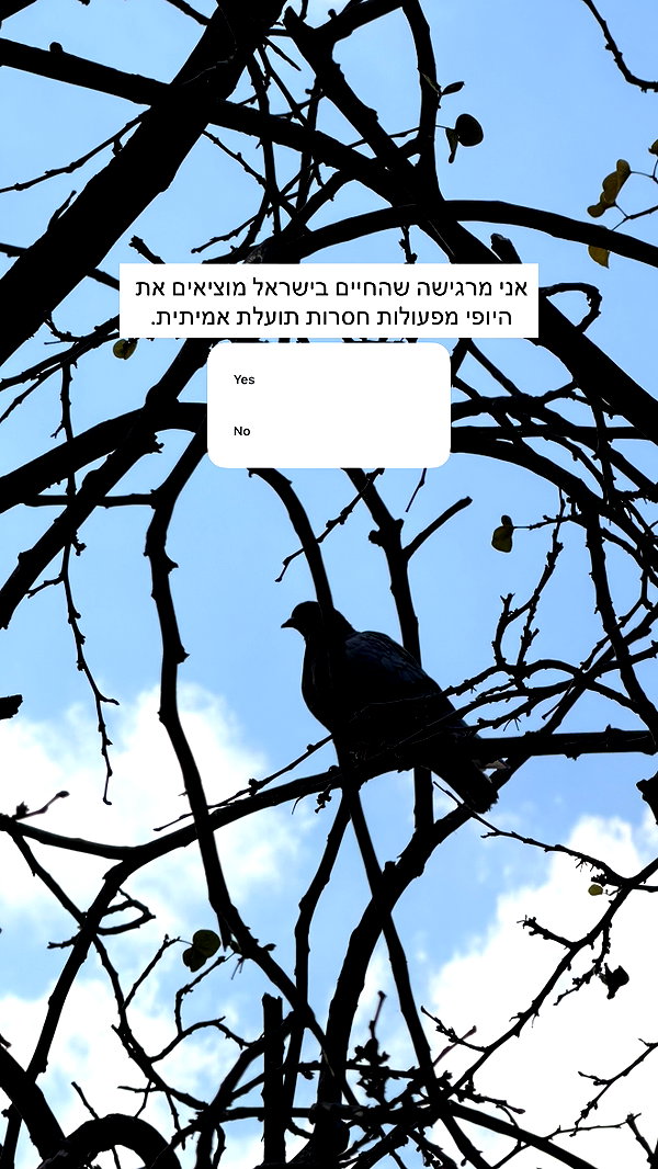 itsilanosh instagram image archive image