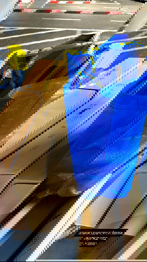 mishel116 mishel116 archive image