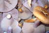 danafetishistova Altpins Profile Picture