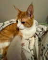 itsnokiiia Altpins Profile Picture