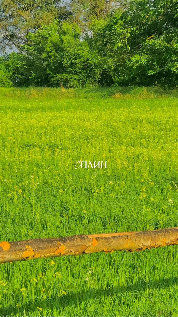 alisen.mari instagram image archive image