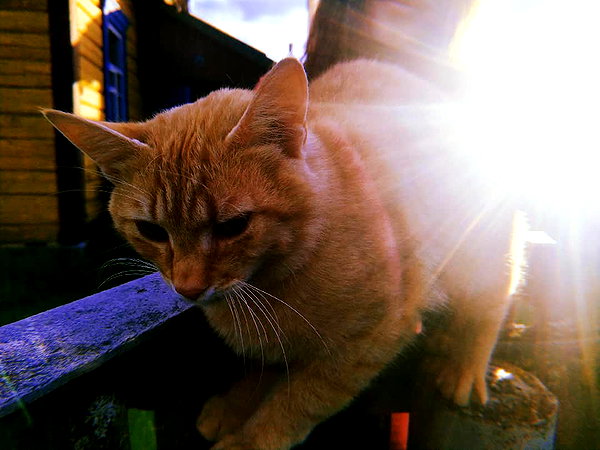 midnightdrearry instagram image archive image