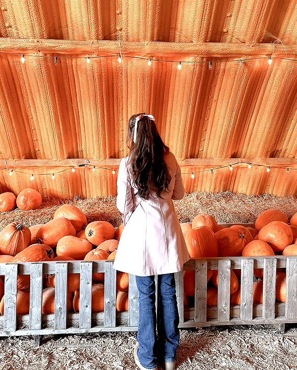 1uvgabi instagram image archive image