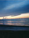 tgiangya Altpins Profile Picture