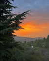 hadas_mayer_ Altpins Profile Picture