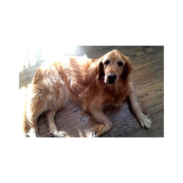 livvydunne instagram image archive image
