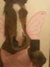 milkibunshehe Altpins Profile Picture