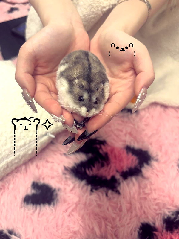 yuyuslivestreamdiary instagram image archive image