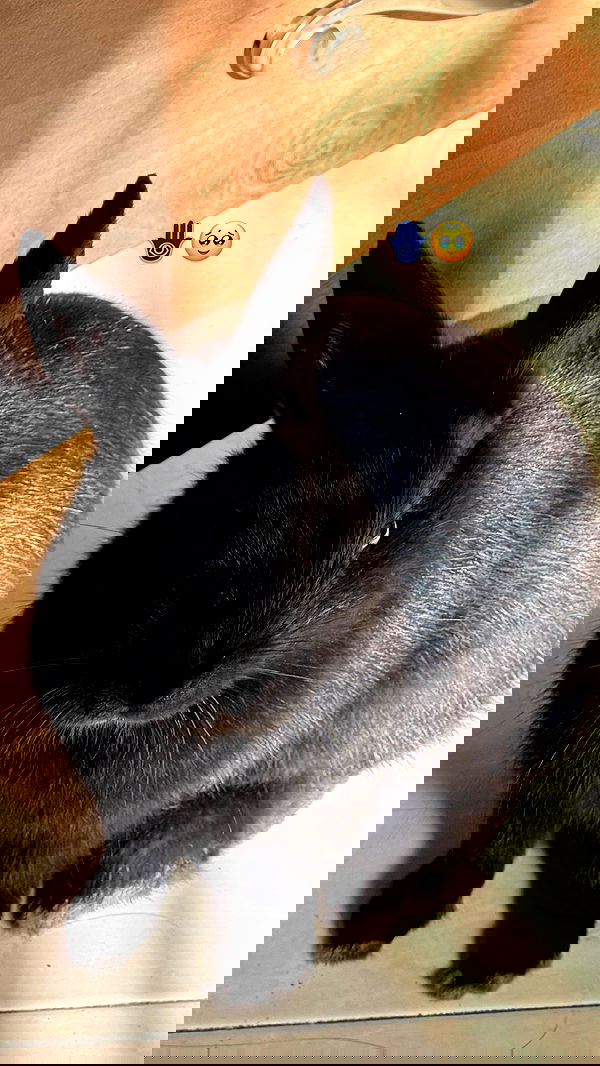 efrat_elmalich efrat_elmalich archive image