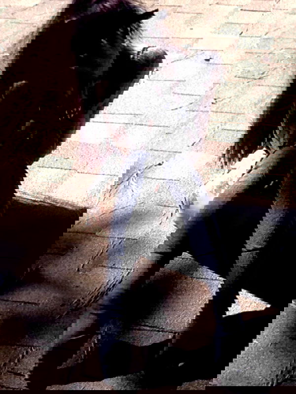 zommmbri zommmbri archive image