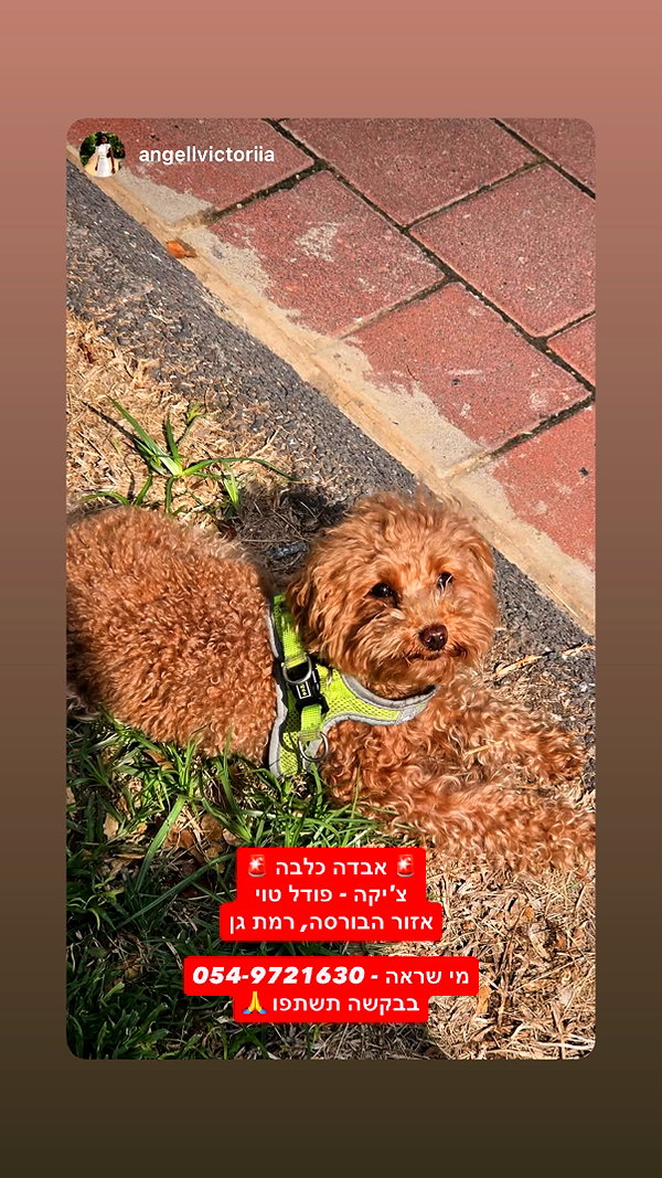 ella_netzer8 instagram image archive image