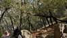 gissell_eli Altpins Profile Picture