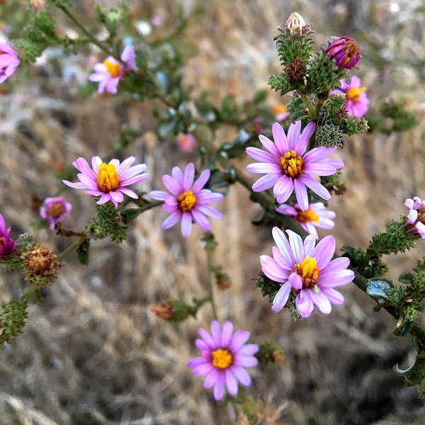 haileylayfield instagram image archive image